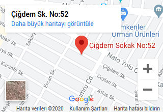 Lokasyon